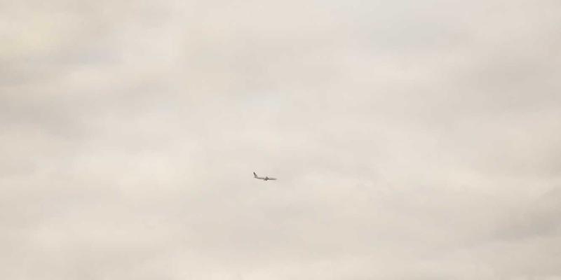 从东辽黑猪到金州生态米:辽源地理标志品牌如何点亮本地生活与房产价值