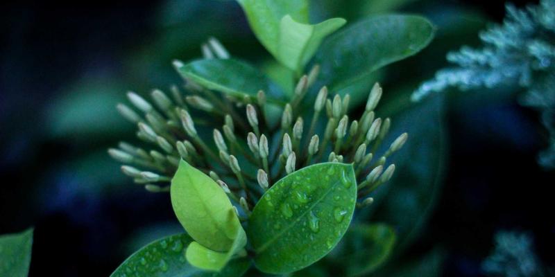 辽源东辽河源头探秘:在碧水清流与城镇脉搏间寻找和谐共生之路