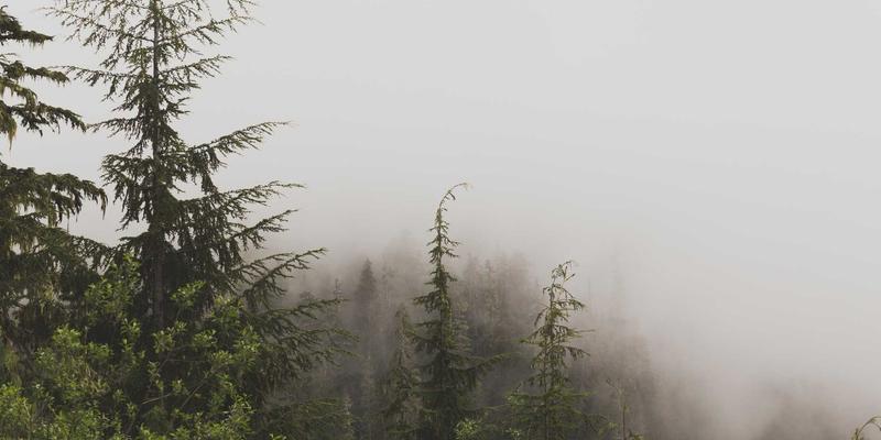 辽源工业记忆的华丽转身：老厂房如何变身城市新地标与人才磁场