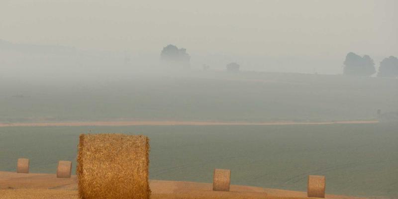 辽源智慧城市新图景：数字化赋能城市管理，如何让‘辽源在线’与‘辽源招聘’更懂市民需求？