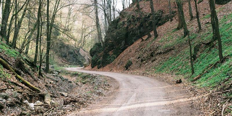 辽源汽车零部件产业集群:产业优势如何赋能本地招聘与生活?