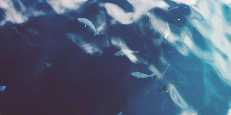 辽源琵琶：穿越时光的艺术瑰宝，如何在现代生活中寻找传承与机遇