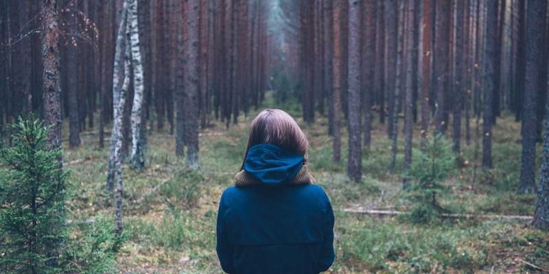 辽源电商直播基地崛起：袜业、鹿产品如何借力新渠道打开全国市场