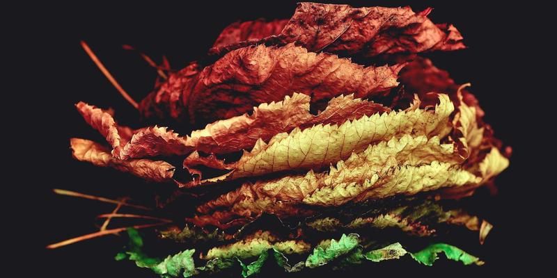 辽源老字号寻味记:一口‘辽源味道’,半部城市烟火史