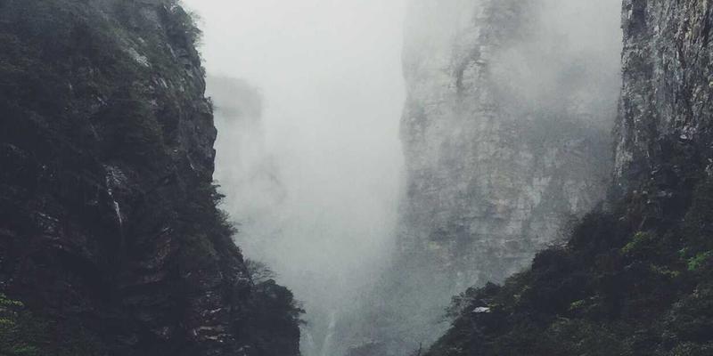 黑土明珠，稻香北国：解码东丰寒地大米的种植科技与品牌崛起之路